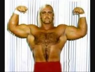 In his early career, Hulk Hogan was known as Sterling Golden and Terry